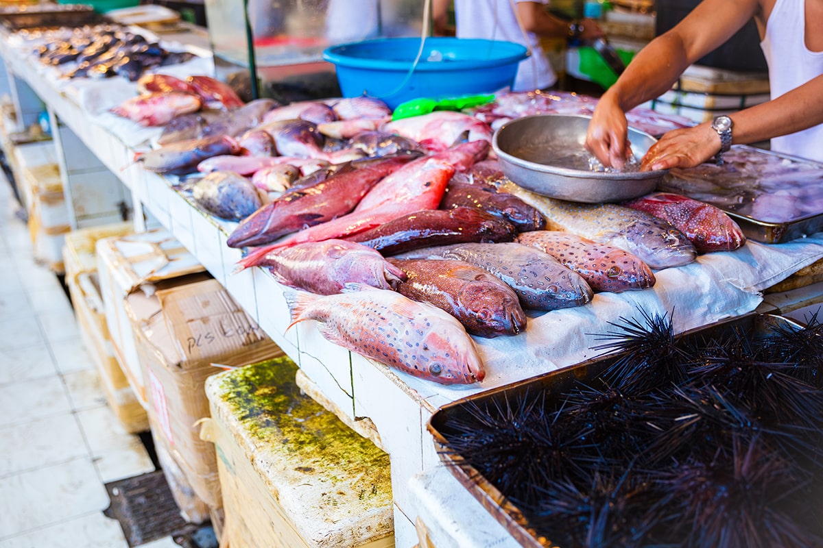 Beyond Paella: Discovering Valencia\'s Vibrant Food Markets and Culinary Delights